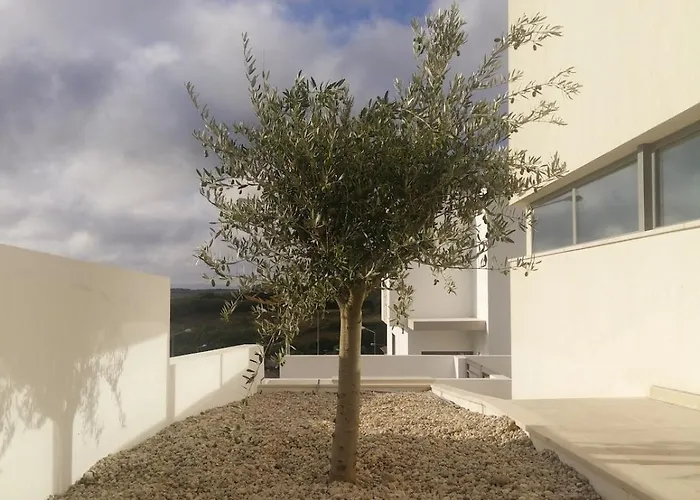 Villa Casa O Carrasco Design House With Pool