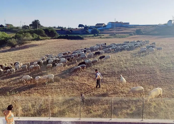 Villa Casa O Carrasco Design House With Pool *